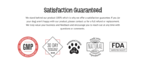 PawLife Pets Website Review