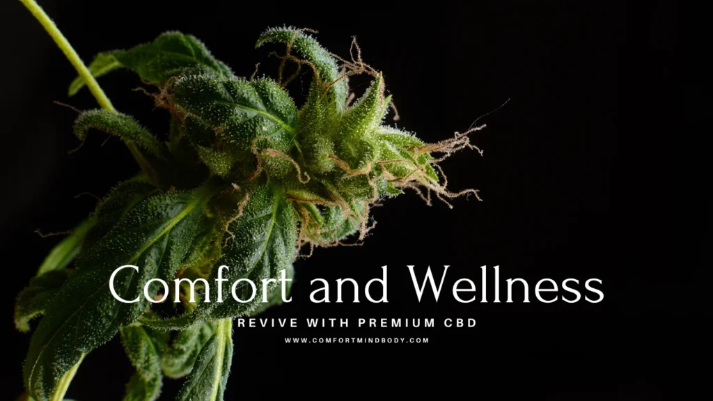 Revive with Premium CBD