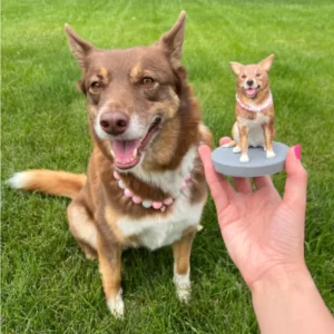 Petsies custom pet bobblehead created from a dog photograph