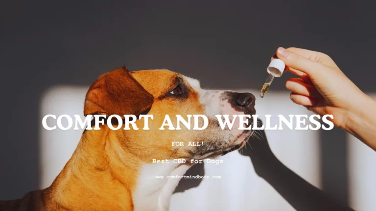Discover the Best CBD for Dogs: An Exciting New Way to Keep Your Pet Healthy!