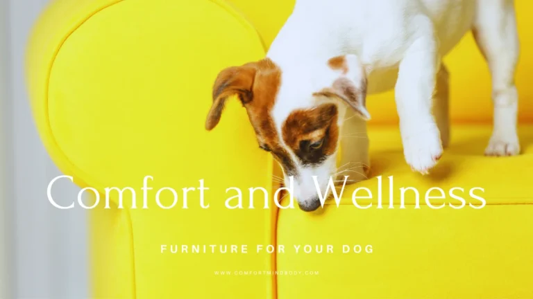 Discover the Perfect Furniture for Your Dog in 2024