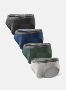 The David Archy Brand Bamboo Rayon Briefs