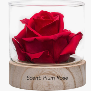 Real Fragrance Flowers, Mother’s Day Gift Ideas