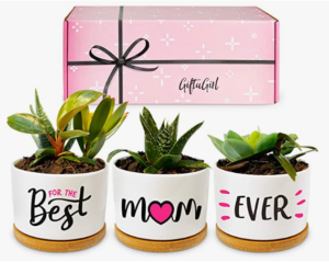 Best Mom Ever Pots, Mother’s Day Gift Ideas