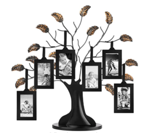 Family Tree with 6 Hanging Picture Frames