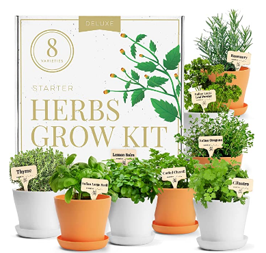 8 Variety Herb Garden Kit