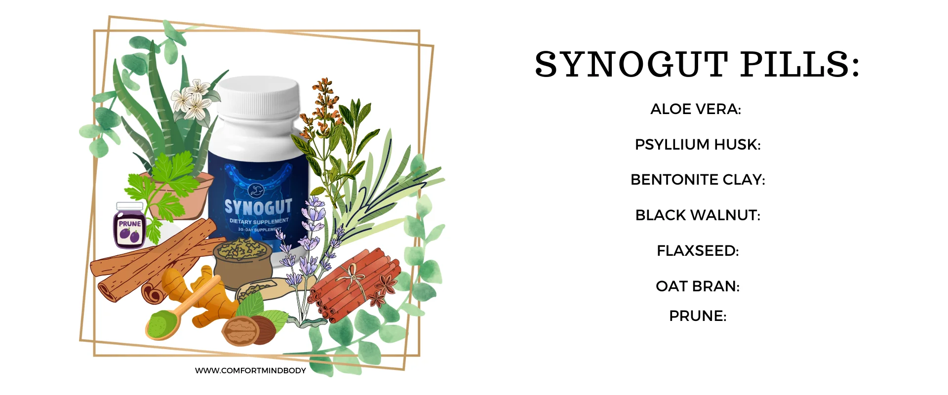 SynoGut Pills