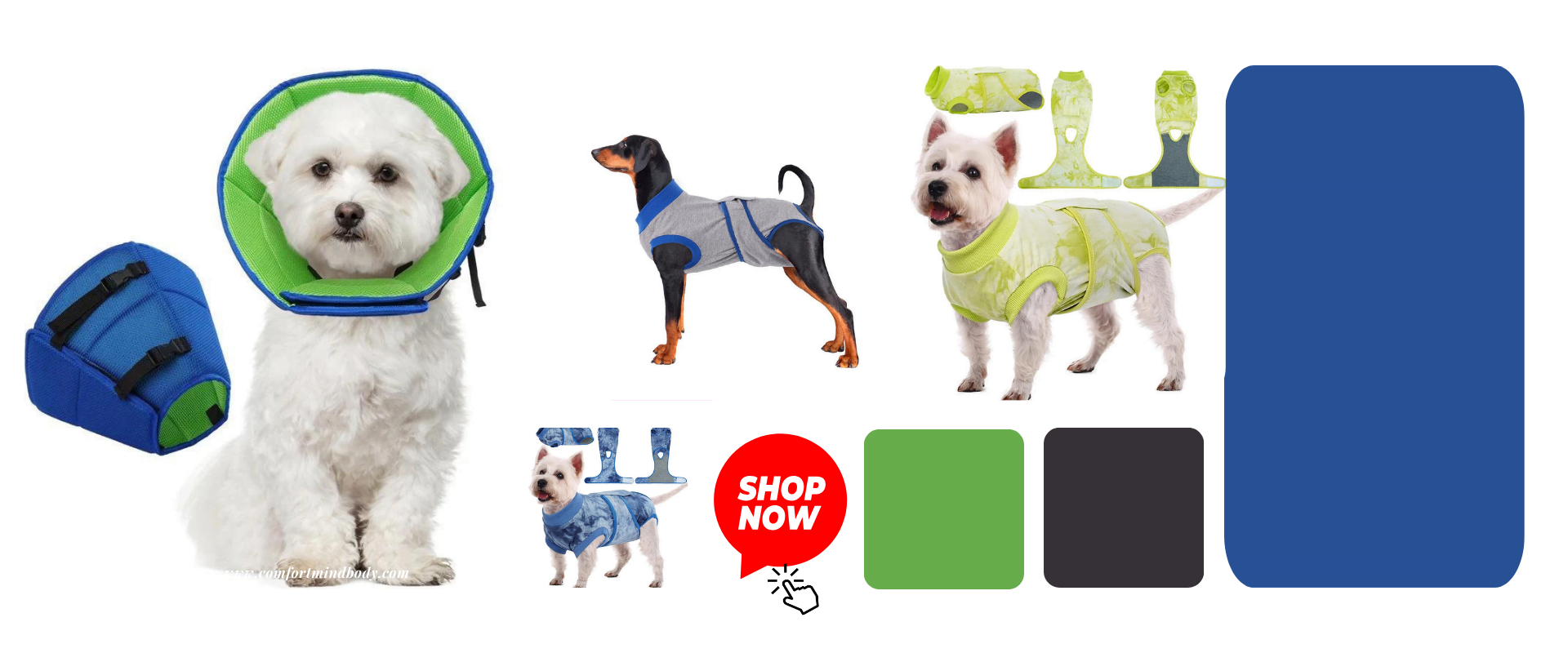 Unique Review of Premium Pet Apparel and Accessories You Need Now!