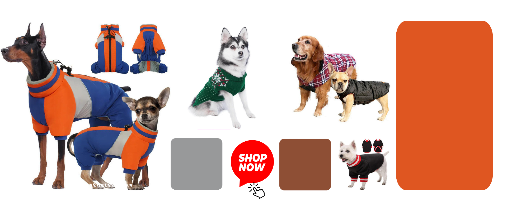 Unique Review of Premium Pet Apparel and Accessories You Need Now!