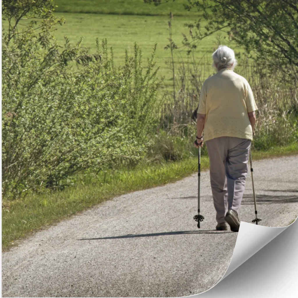 Wellness 32 The Influence of Aging Populations
