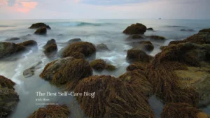 Finest Products 97 Irish Moss