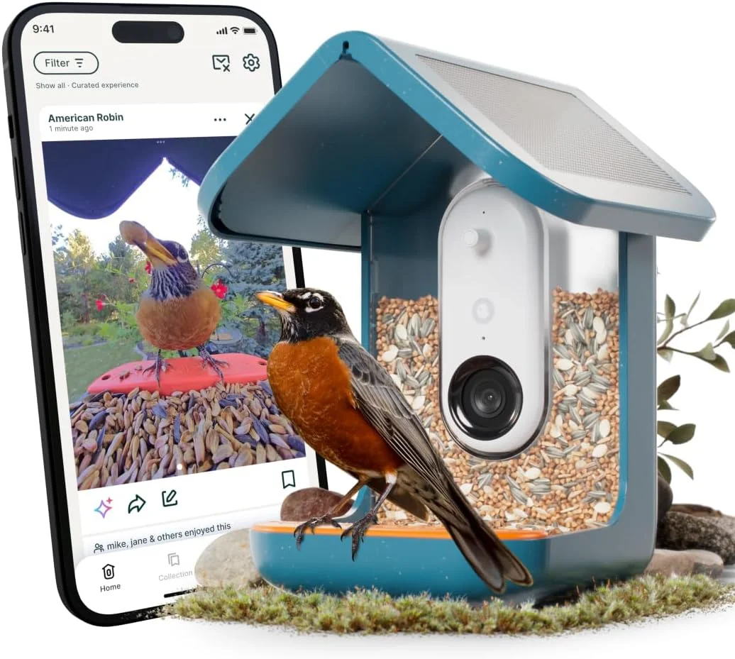 Bird Buddy Pro Solar smart bird feeder with camera