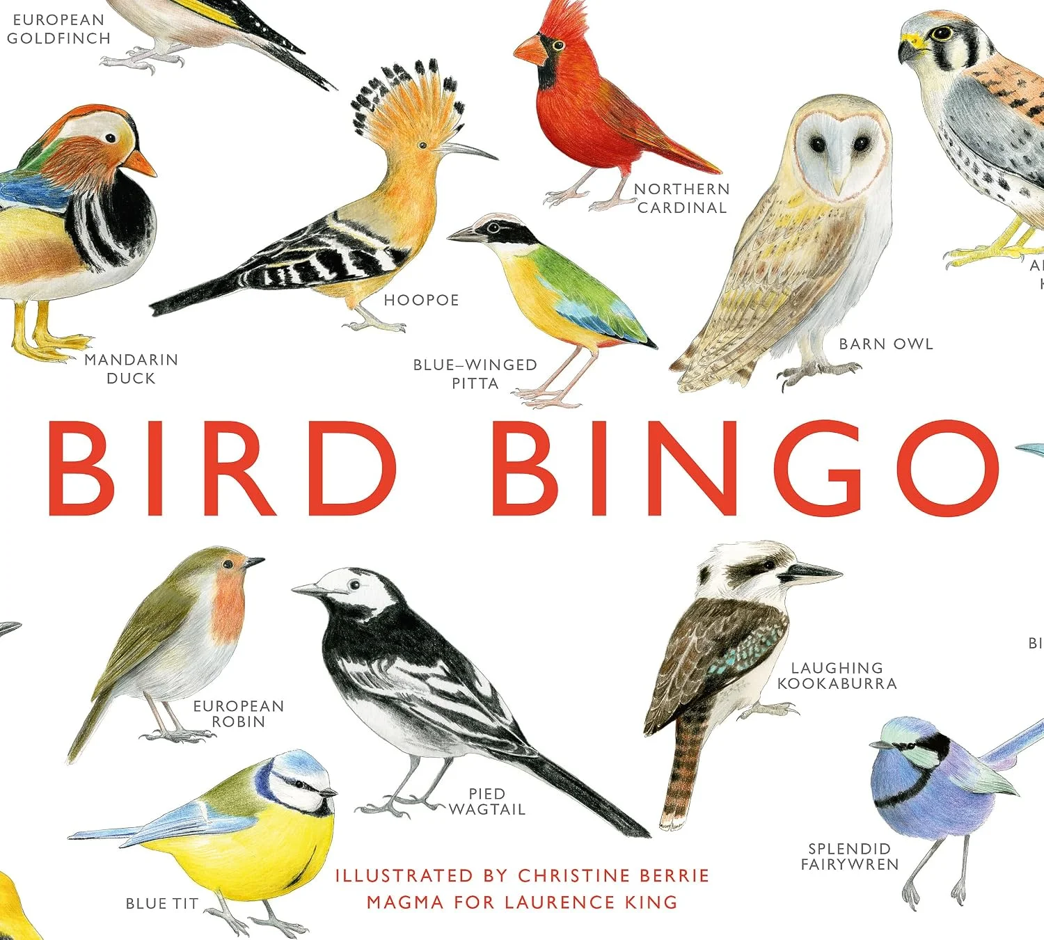 Bird Bingo box illustrated with different bird species.