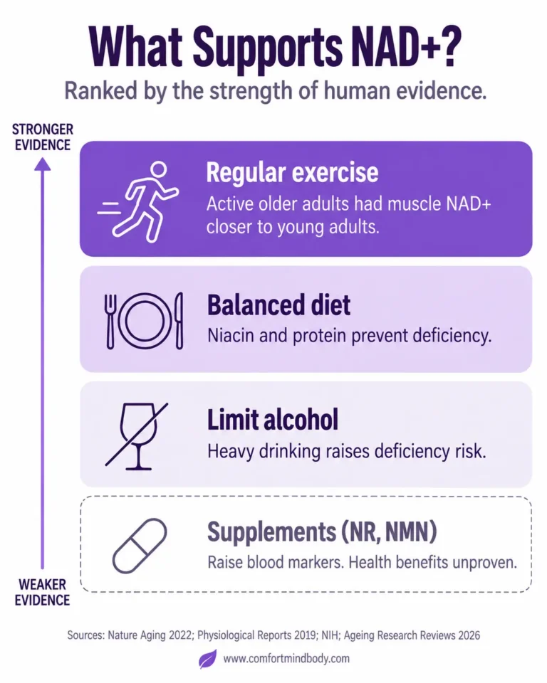 Infographic ranking what supports NAD+ by strength of human evidence: regular exercise first, then a balanced diet, limiting alcohol, and supplements such as NR and NMN, which raise blood markers but have unproven health benefits.