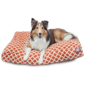 dog on the orange bed